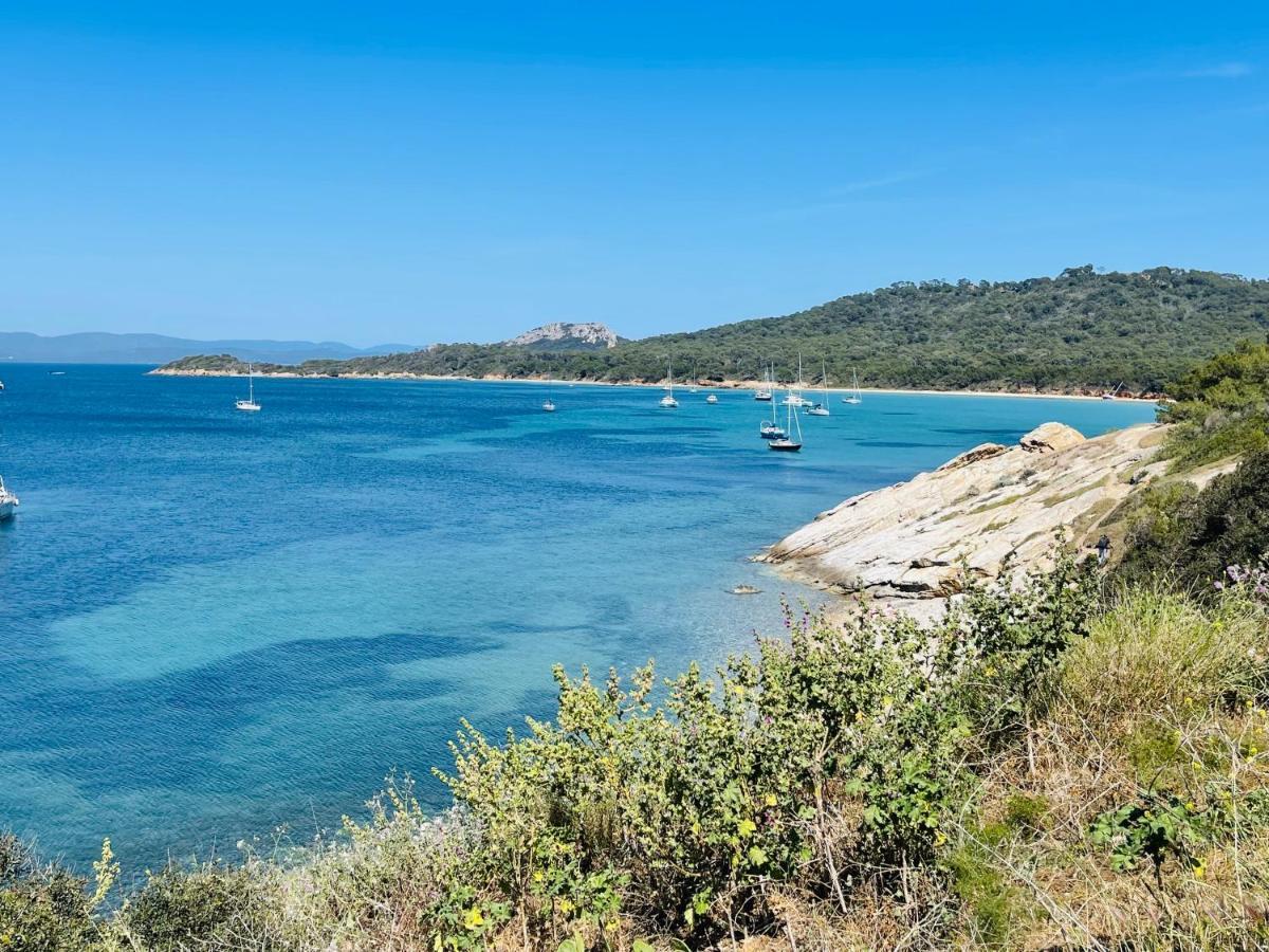 Vue Exceptionnelle Almanarre Hyères
